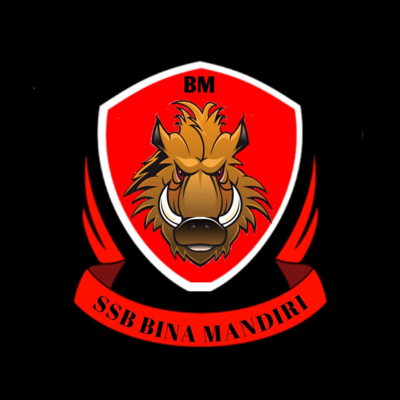 GAN FC